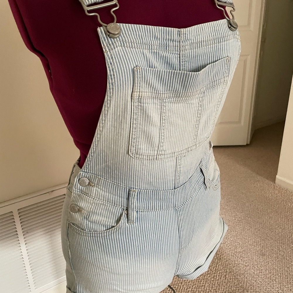 Blue Spice Women's Light Blue Striped Overalls